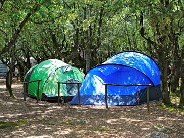 Spacious camping pitches