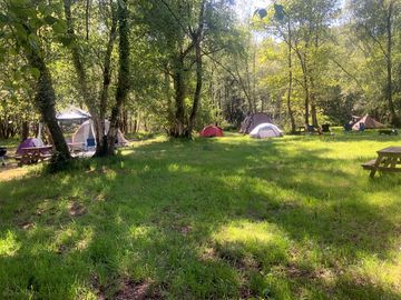 Camping en forêt