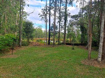 Native vegetation