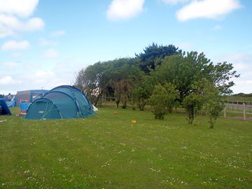 Campo de acampada con o sin electricidad