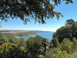 Vista dalla baia di Salcombe
