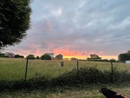 (photo added by aroa_m325938 on 17/06/2026)