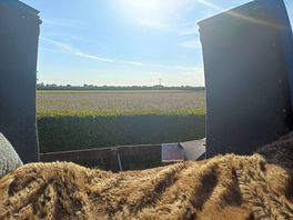 La nostra vista dal letto attraverso i campi