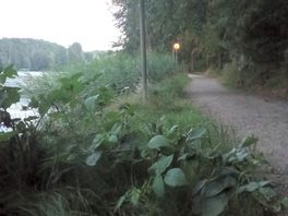 (photo added on 14/08/2024)