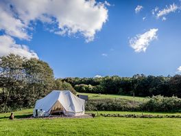 Pheasant tent (added by manager 24 Oct 2024)