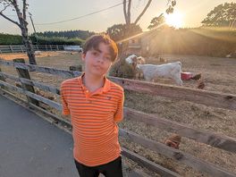Mon fils rendant visite aux animaux sur place