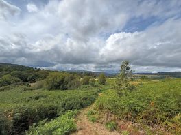 Vue depuis une colline surplombant le site