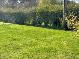 Extra large grass pitches with EHU (Max 9x9 metres)