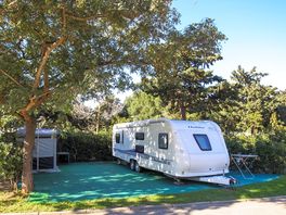 Grand emplacement premium ombragé