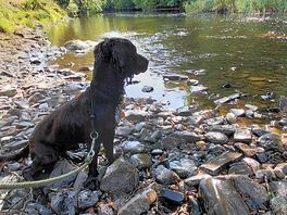 (photo added by ashleigh_l169422 on 09.08.2026)