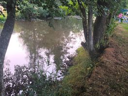 Rivière qui traverse le camping