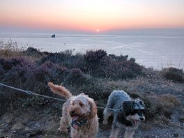 Passejades al capvespre amb els nostres 2 gossos - perfecte 👌