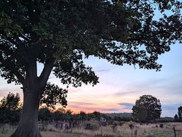 Solnedgang
