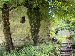 Petits camins pel càmping per explorar