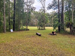 Native trees and open grassy areas