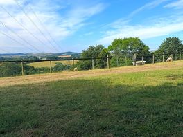 Bonita vista con ovejas en el campo de al lado