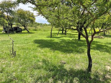 Gras- en aardepitch