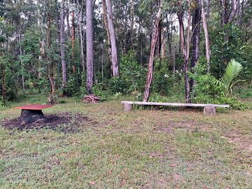 Camping among the trees