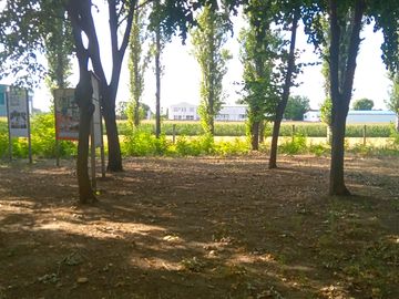 Piazzole ombreggiate in erba e terra