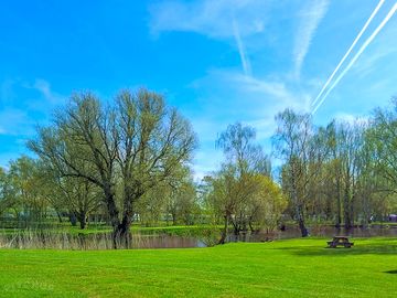 Early spring view