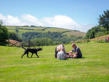 Picknickwiese und Hundeauslaufbereich