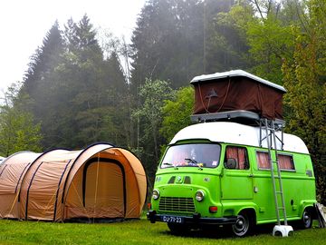 Stay at the campsite and discover all sort of older campervans