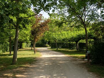 Camí pel càmping
