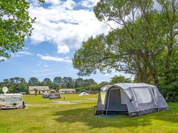 Pitches under the trees