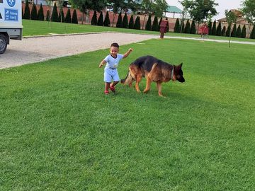 Kids free to run and play