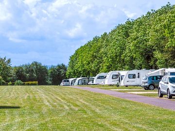 Grass pitches