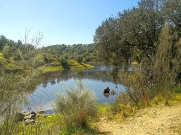 Lake