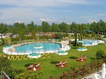 Grass around the pool