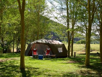 Level grass pitches with trees for shade