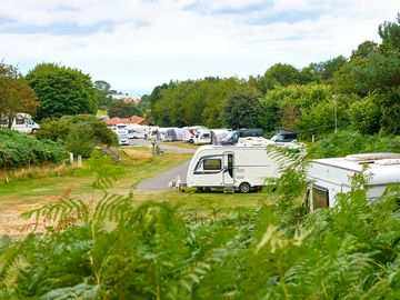 Electric grass touring pitches
